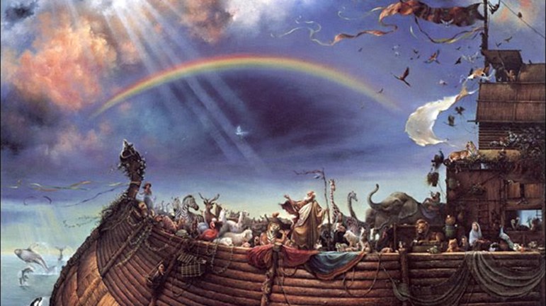 العداوة لحركة الأنبياء: تجربة النبيّ نوح(ع) نموذجاً