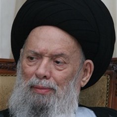 فضل الله: «المسألة المذهبية» أصبحت مشكلةً في العالم الإسلامي